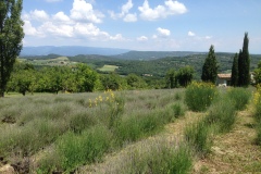 148_Provence_0618_str_057