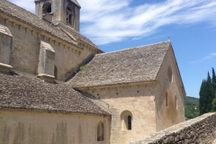 216_Senanque_0618_rrf_135