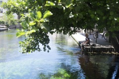 236_Isle-sur-la-Sorgue_0618_fuji_298