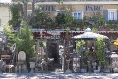 237_Isle-sur-la-Sorgue_0618_fuji_303