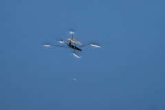 Romandie_04-06-21_036