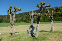 Romandie_31-05-21_006