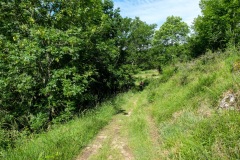 005_Curnols_0622