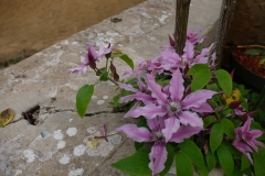 106_Ort_0622