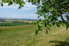 149_Ort_0622