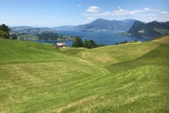 005_Hergiswil_29-05-2020