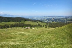 018_Eriztal_01-06-2020