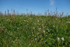 019_Eriztal_01-06-2020