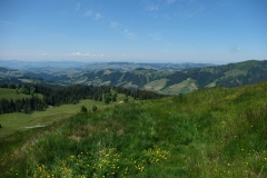 020_Eriztal_01-06-2020