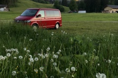 025_Eriztal_02-06-2020