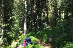 027_Eriztal_03-06-2020