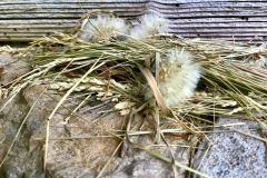 028_Eriztal_03-06-2020