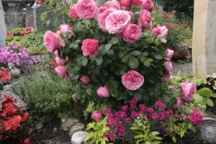 033_Hilterfingen_05-06-2020