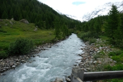 046_Fafleralp_06-06-2020