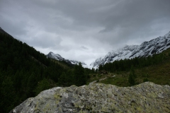048_Fafleralp_06-06-2020