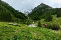 052_Fafleralp_07-06-2020