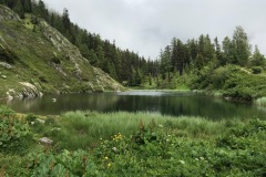 060_Fafleralp_07-06-2020