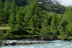 070_Fafleralp_08-06-2020