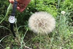 077_Leuk_08-06-2020