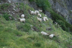 095_Raron_11-06-2020