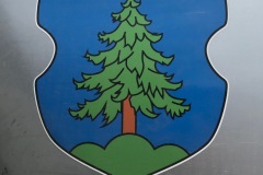 123_Bellwald_12-06-2020