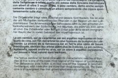 178_Bellinzona_15-06-2020