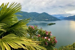 189_Monte-Verita_15-06-2020