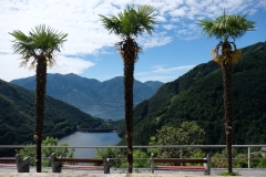 199_Mercoscia_16-06-2020