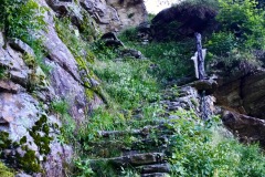 269_Alp-Pro-de-Leura_18-06-2020