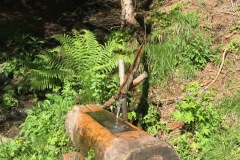 276_Alp-Pro-de-Leura_18-06-2020
