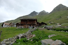 331_Juf_20-06-2020