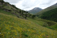 334_Juf_20-06-2020