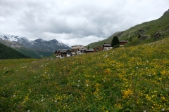 336_Juf_20-06-2020