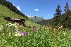 410_Dischmatal_23-06-2020